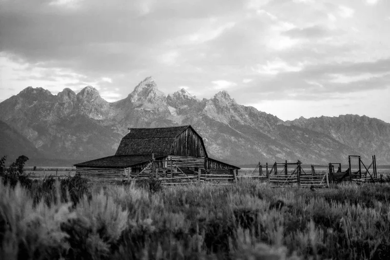 Film photo shot on Ilford FP4 Plus 125 with a Zenza Bronica S2A, developed at Home / Self-Developed, by Dan Schneider