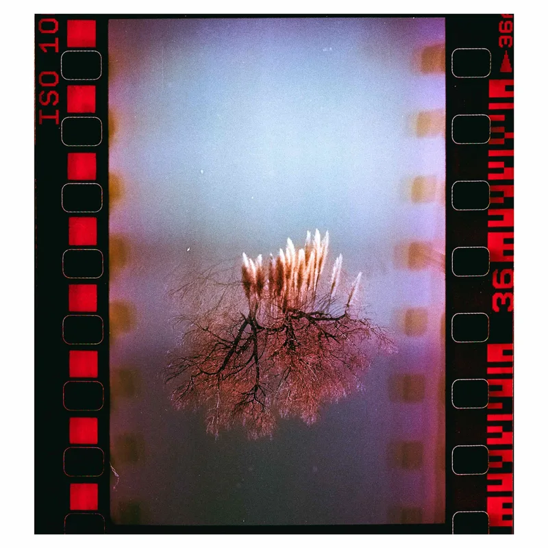 As above so below part 2 shot on Fujifilm FujiColor C100 with a Canon EOS 1000F, developed at DevbyJannis, by Alessandro Benevento