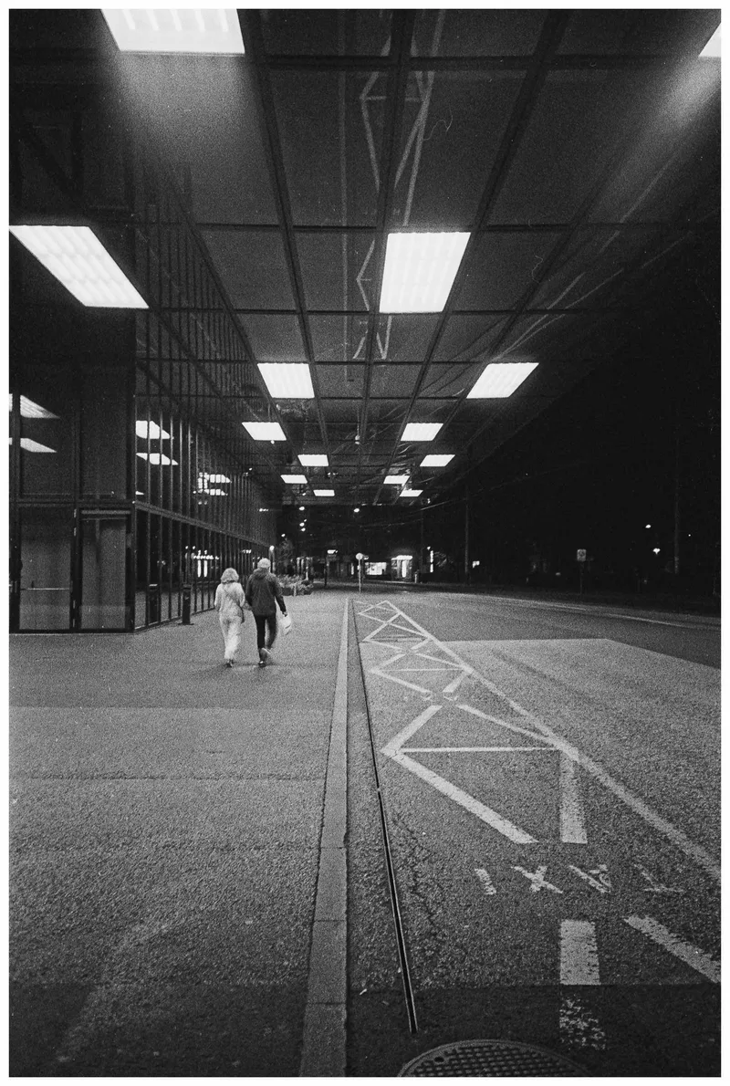 Film photo shot on Ilford Pan 400 with a Yashica T4 Zoom, developed at Home / Self-Developed, by wholegrain