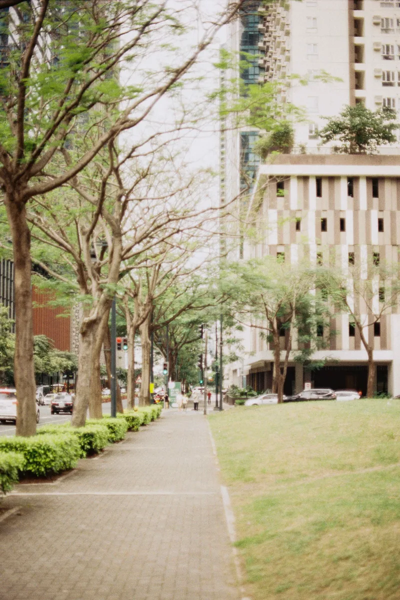 afternoon walk shot on Kodak ColorPlus 200 with a Canon A-1, developed at Wonder Photo Shop by Fujifilm, by lianne