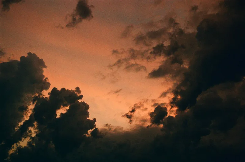 An evening shot on Lucky C200 with a Nikon F100, developed at Pelloche Lab, by Vincent Copié