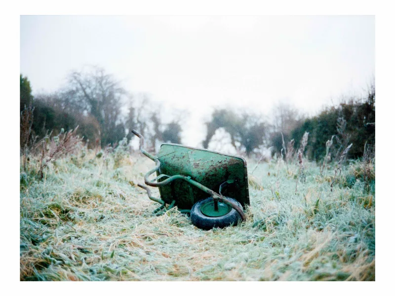 Film photo shot on Harman Phoenix 200 with a Leica M4-P, developed at Home / Self-Developed, by Alex