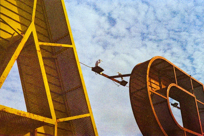 Rest. shot on Fujifilm Eterna 500T with a Canon FTb QL, developed at Bandar Studio, by Ali Moradizadeh