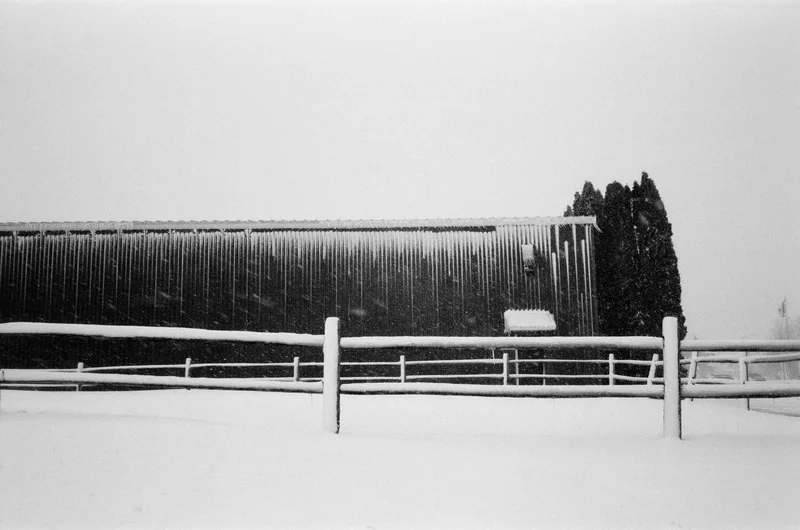 Film photo shot on Ilford FP4 125 with a Olympus StylusEpic, developed at GPC Labworks, by james erdeg
