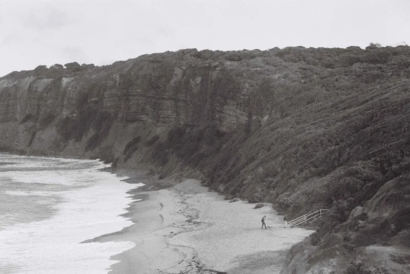 Film photo shot on Kosmo Foto Agent Shadow with a Pentax SuperA, developed at Halide Supply, by fivedegreefilm