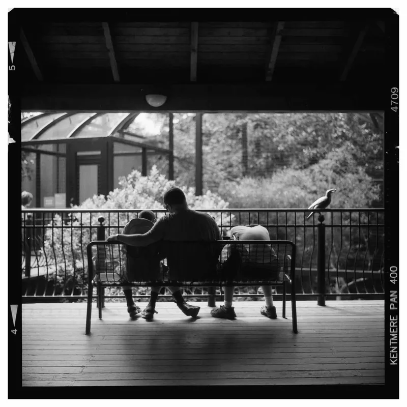 People-watching at the zoo shot on Ilford Kentmere Pan 400 with a Rolleiflex 2.8C, by Justin Thompson