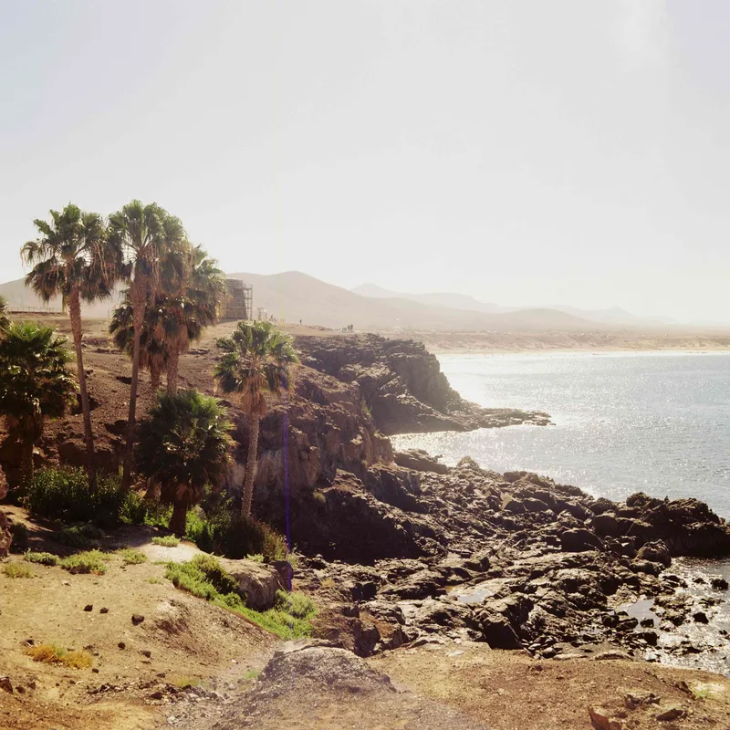 Natures Beauty shot on Kodak Gold 200 with a KMZ Iskra, developed at Tanners Bank Darkroom , by Mark Beadle
