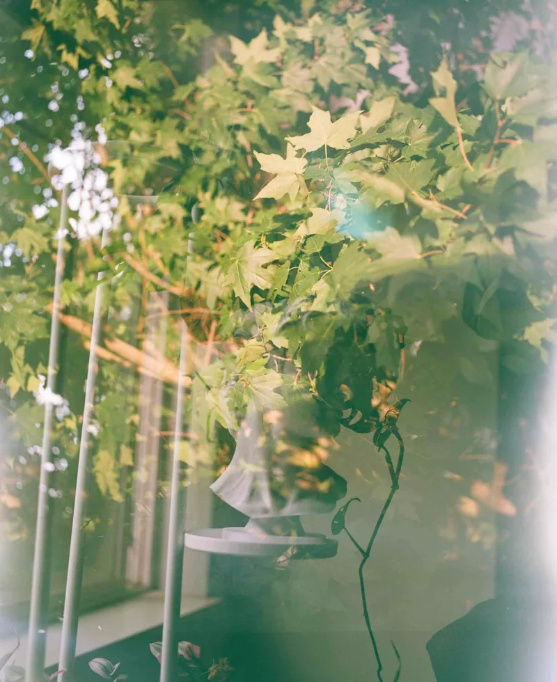 🍃 shot on Dubblefilm Bubblegum 200 with a Pentax 6x7 MLU, developed at Shot on Film Store, by Spencer Leal