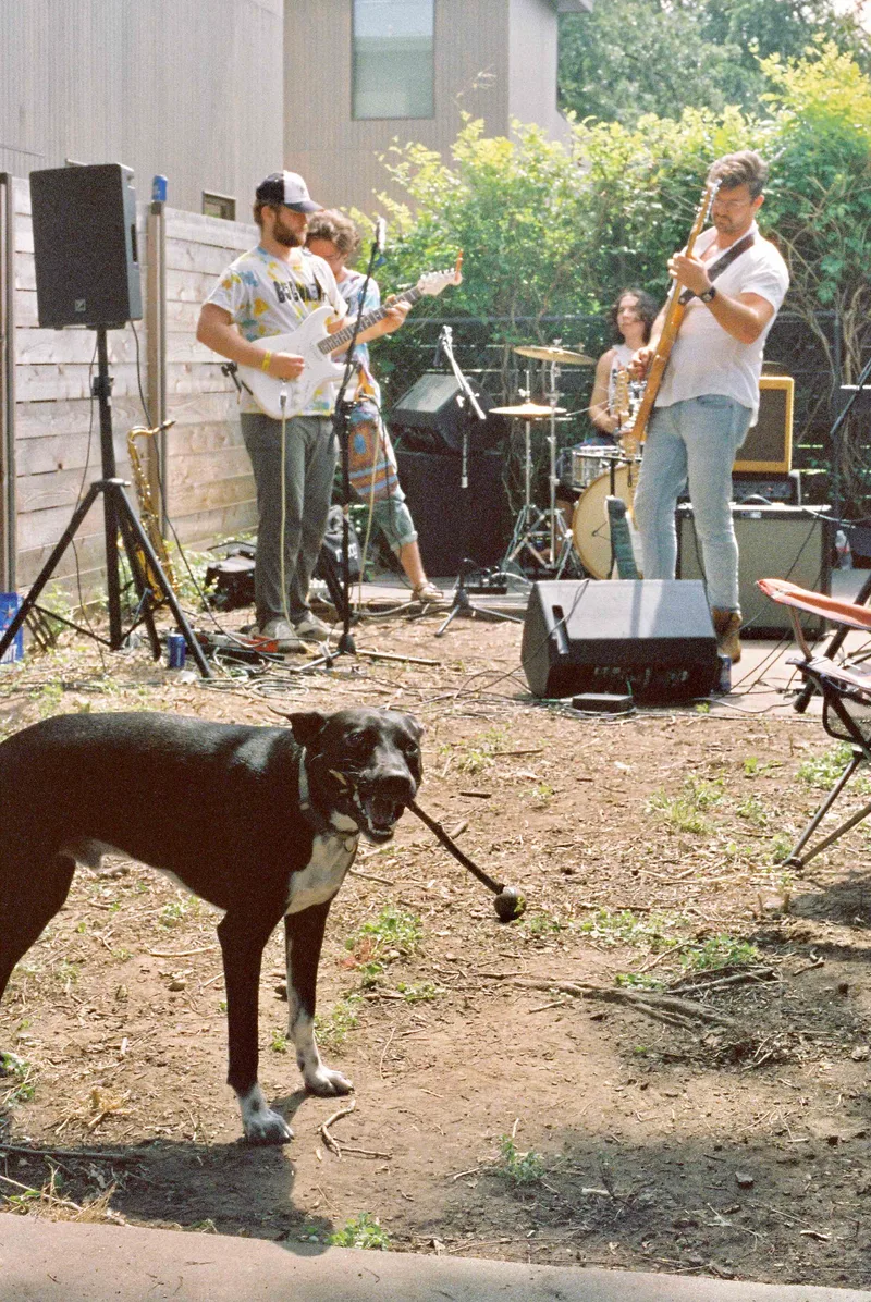 Ruff Crowd shot on Fujifilm Superia X-TRA 400 with a Minolta X-700, developed at Holland Photo Imaging, by ReillyJude