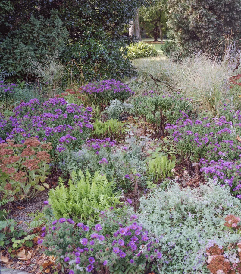 Swiss gardens in Vienna shot on Kodak Gold 200 with a Mamiya 7, developed at Foto Fayer, by Robert