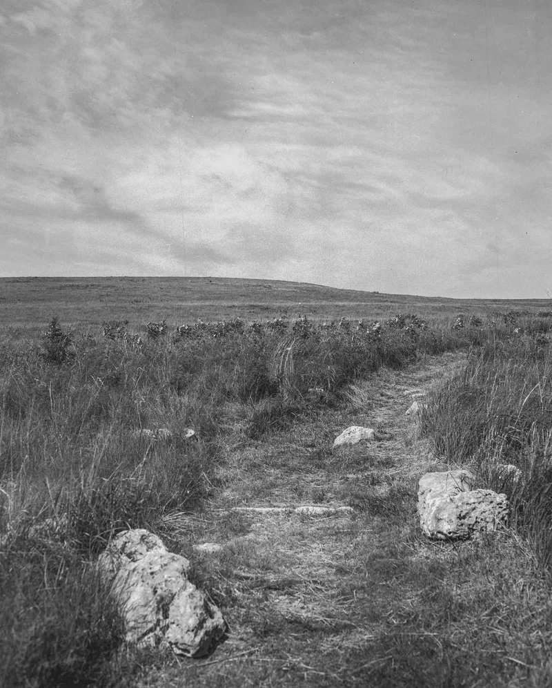 The Long and Winding Road shot on Ilford FP4 Plus 125 with a Graphlex CrownGraphic, developed at Home / Self-Developed, by Bryan