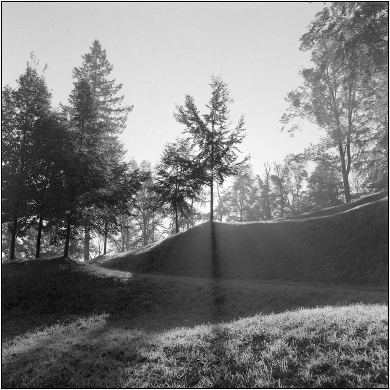 Film photo shot on Ilford HP5 Plus 400 with a Rolleicord Vb, by jmfo