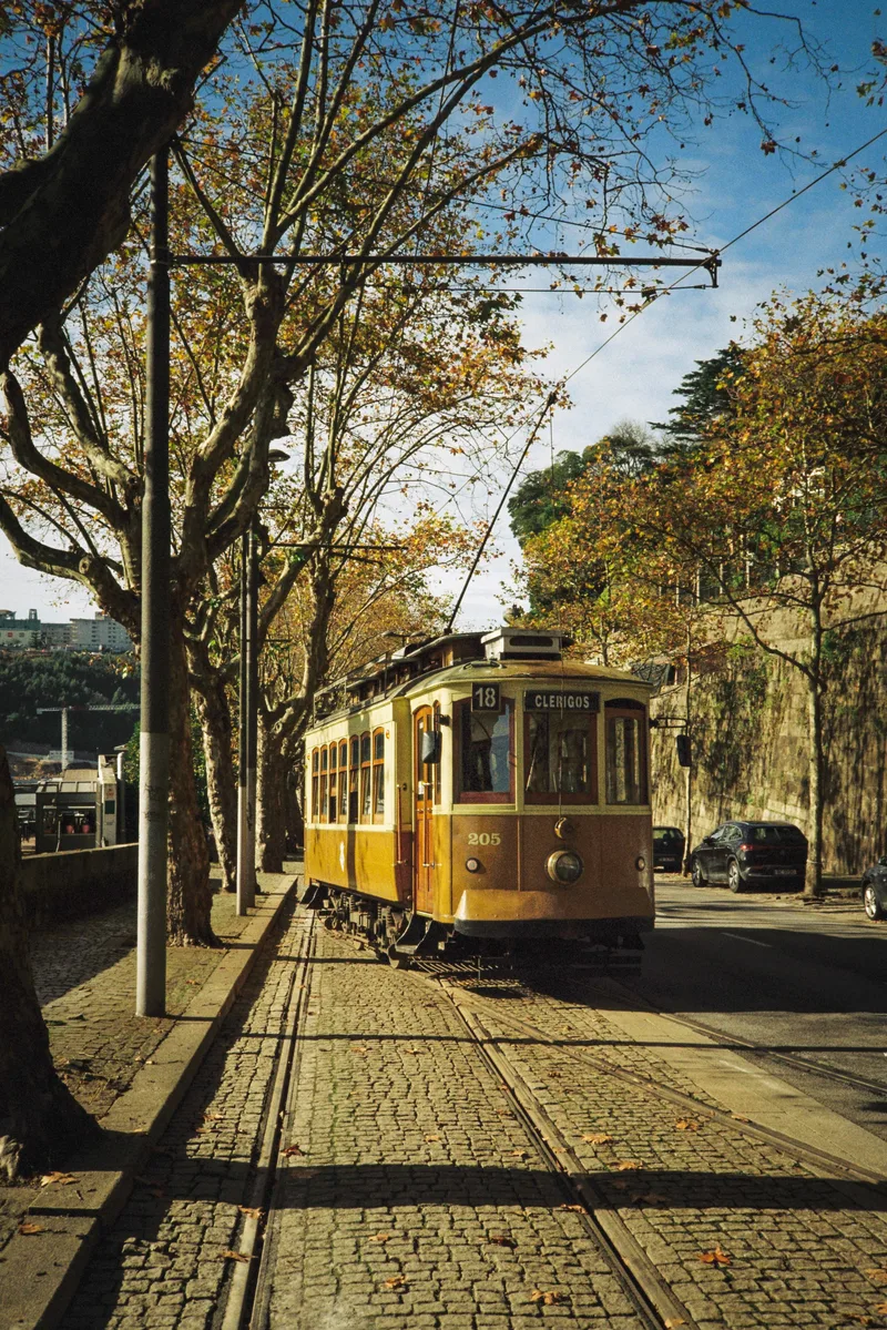 Porto in fall shot on Kodak Gold 200 with a Nikon L35AF, developed at Maquinas de Outros Tempos (MOT), by Guesty