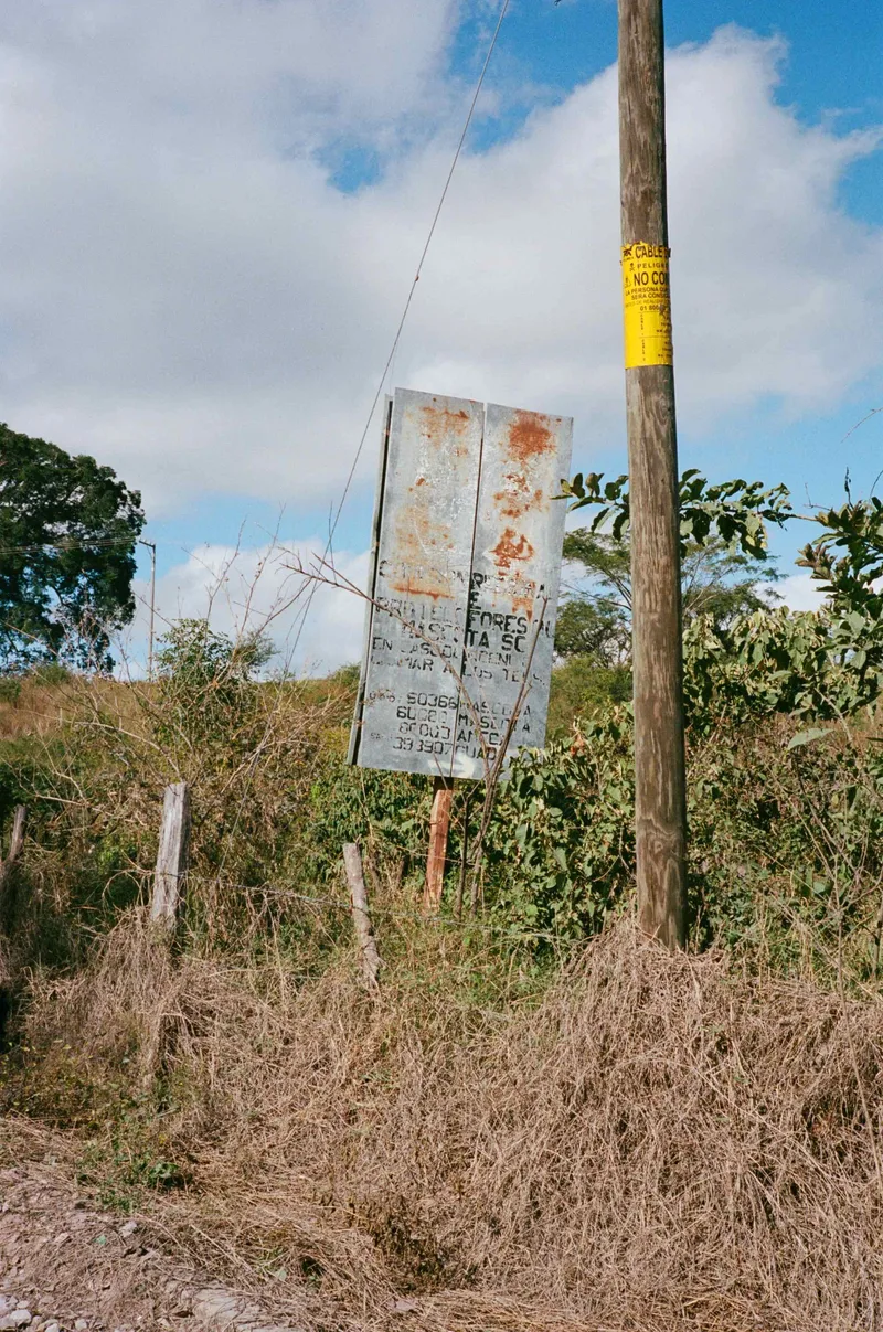 Film photo shot on Kodak Portra 400 with a Rollei 35RF, developed at Memphis Film Lab, by Owen