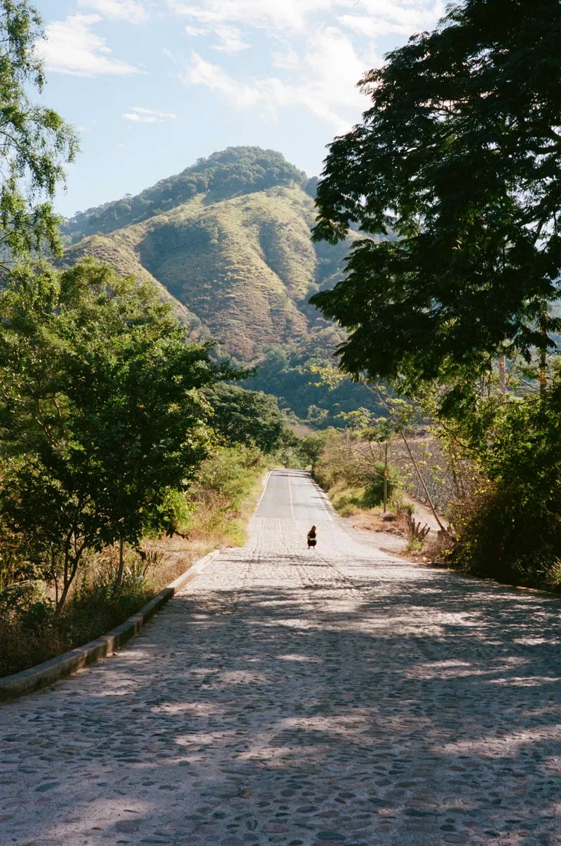 Film photo shot on Kodak Portra 400 with a Rollei 35RF, developed at Memphis Film Lab, by Owen