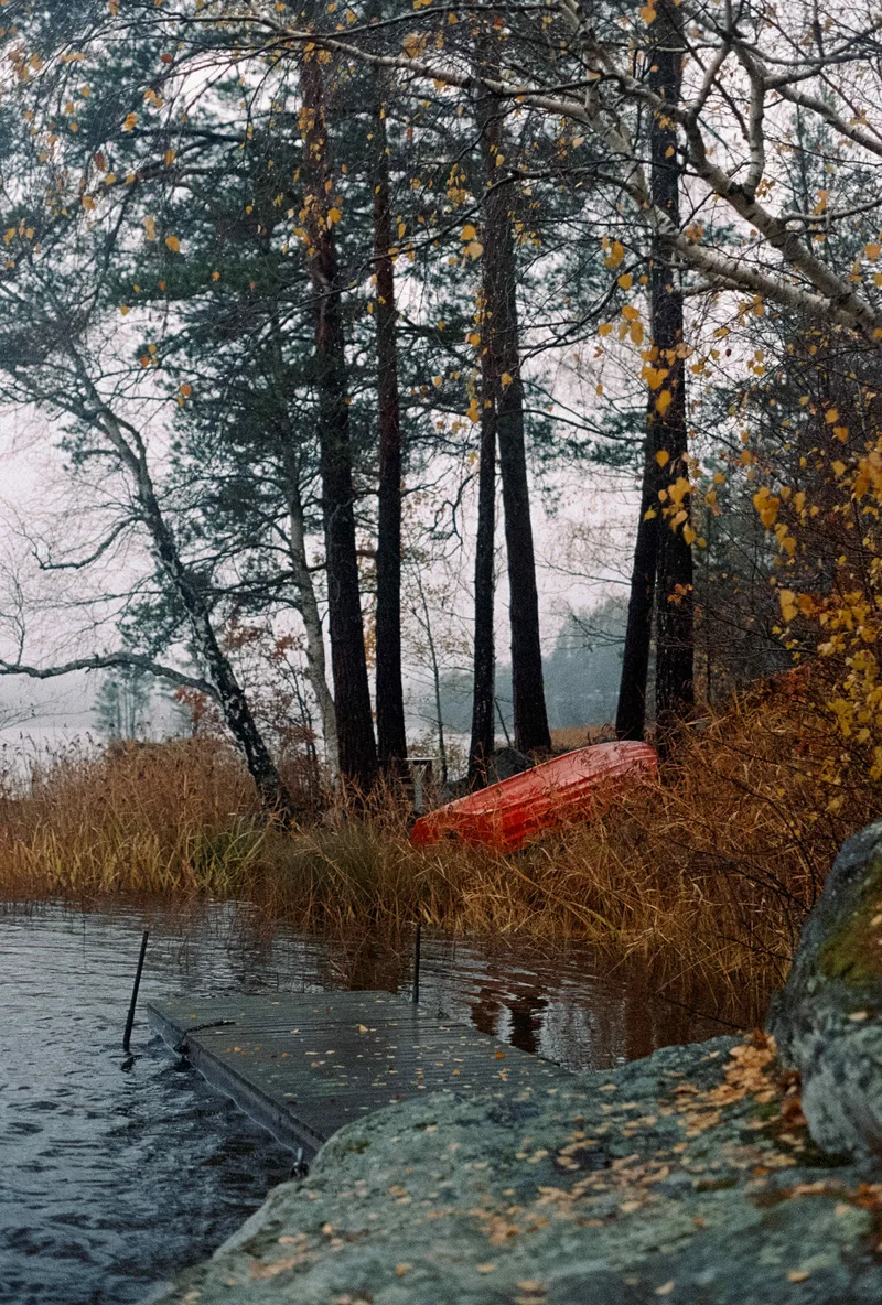 A rainy day in November shot on Kodak Portra 800 with a Minolta X-300, by Oscar