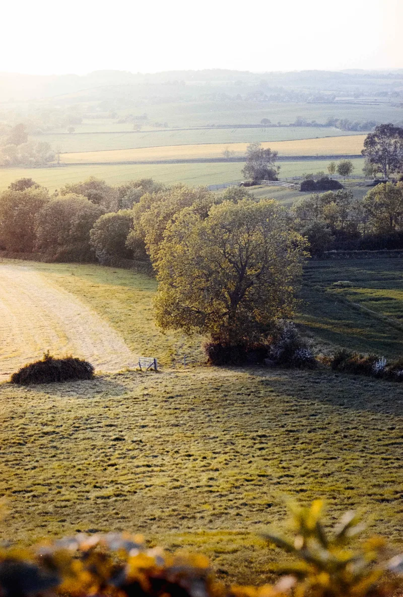 Gated Field shot on Kodak Portra 400 with a Canon A-1, developed at AG Photolab, by Alex Hewitt