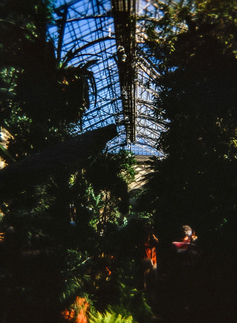 Oasis shot on Fujifilm Astia 100F with a Holga 120 CFN, developed at The DarkRoom, by Eolonauta