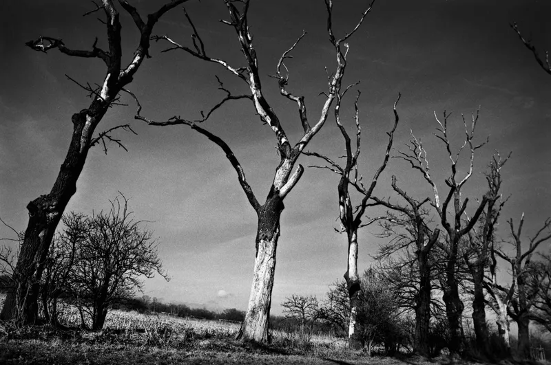 Film photo shot on Rollei RPX 25 with a Nikon F2, by rafaln70