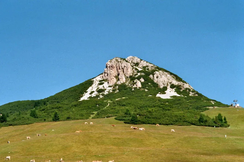 Weißhorn - IT shot on Kodak Gold 200 with a Pentax Zoom 90 WR, by Clemens