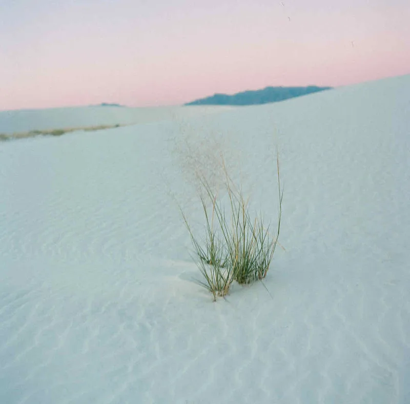 White Sands shot on Fujifilm Pro 400H with a Mamiya C220, developed at The DarkRoom, by Jeremy Allen Wieczorek