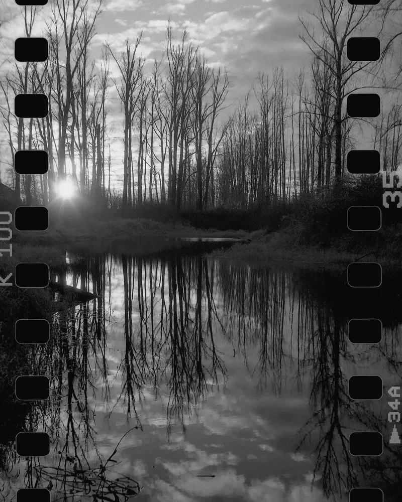 Reflection shot on Ilford Kentmere Pan 100 with a Mamiya C330s Professional, by PhotoBob
