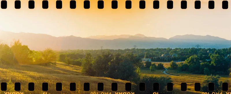 Film photo shot on Kodak Proimage 100 with a Mamiya Superpress23, developed at The DarkRoom, by ari.captures.photos