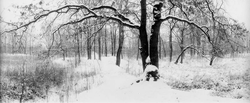 Film photo shot on Foma Fomapan 200 Creative with a Horizon 202, by rafaln70