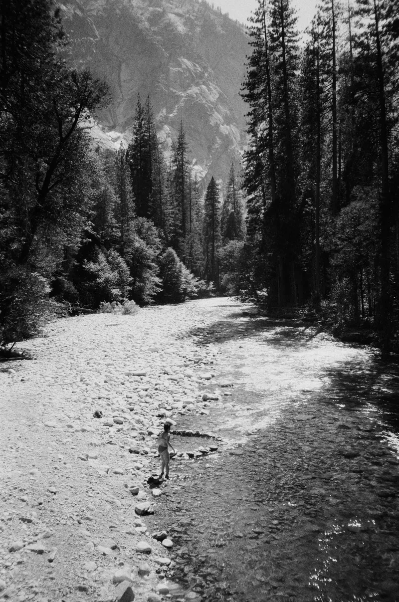 kings canyon national park, ca shot on Kodak Tri-X 400 with a Olympus XA, developed at East LA Film Shop, by Eric Wefald - Huang
