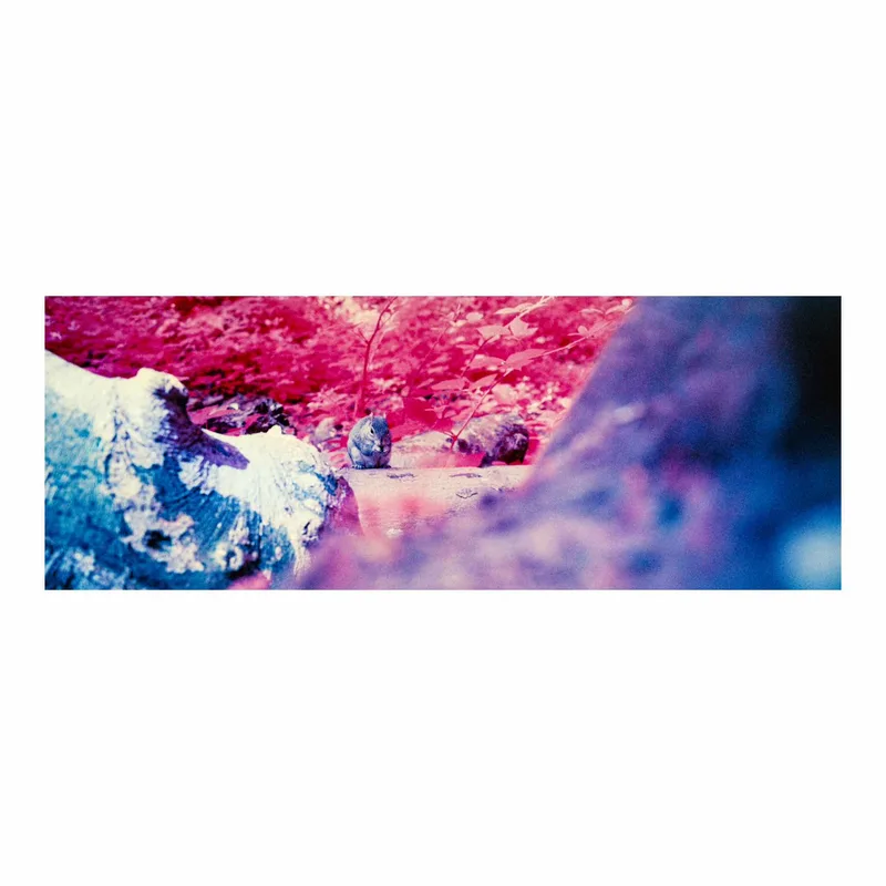 Film photo shot on Kodak Aerochrome III with a Hasselblad Xpan II, developed at Home / Self-Developed, by Alex