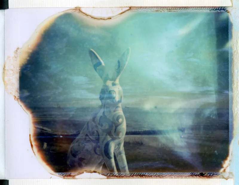 Rabbitalia shot on Polaroid Polacolor 100 ID-UV with a Polaroid EE100 Special, by Matt