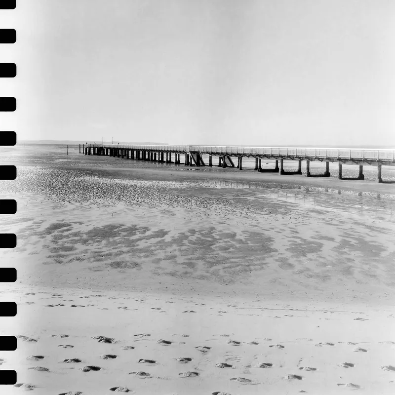 Washi K shot on Washi Washi k with a Rolleicord Vb, developed at Home / Self-Developed, by Cyril b.