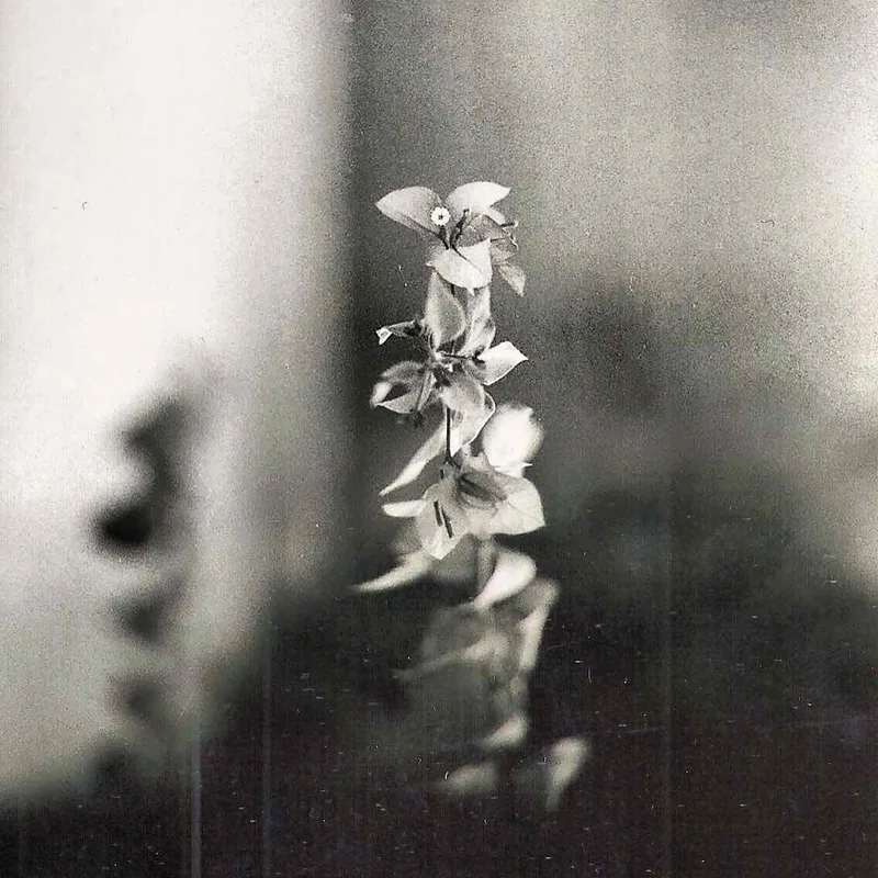 Lone Survivor shot on Ilford Pan 400 with a Canon FT QL, by Payam