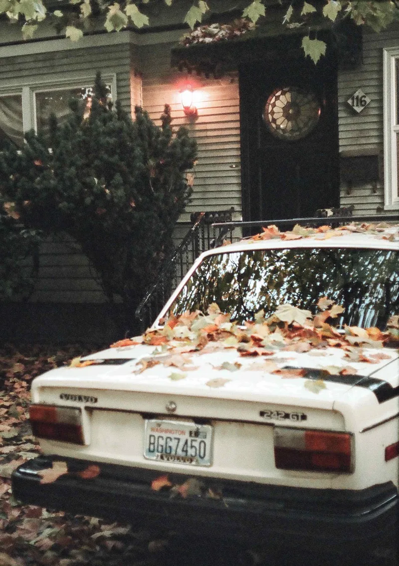 Leaving fall shot on Cinestill 400D with a Olympus Pen F, by Dylan Martisius
