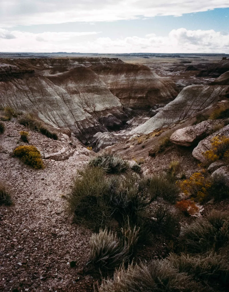 Petrified Forest, AZ shot on Kodak Portra 400 with a Ricoh GR1, developed at Boréalis Laboratoir Photo Inc, by Marc-André