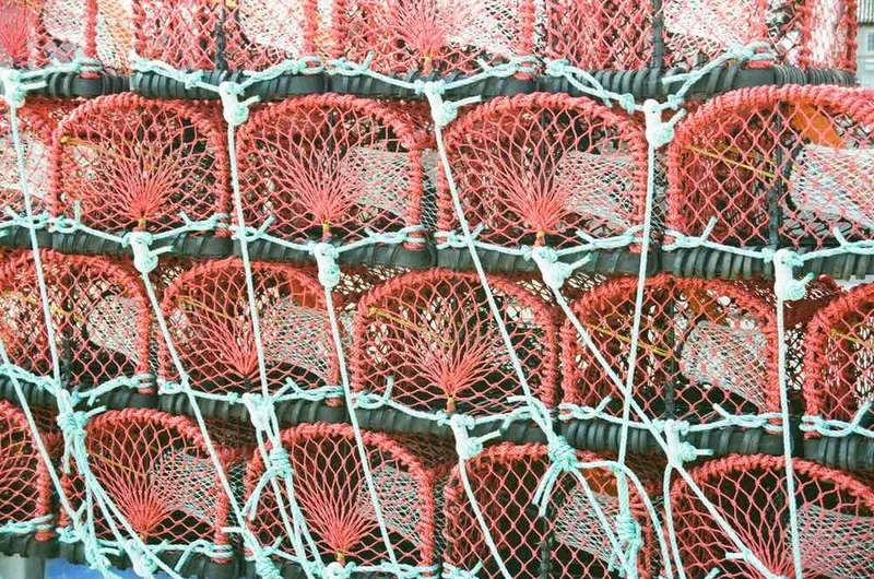 Crab Pots shot on ROS ROSFILM with a Canon 1000F, by Casie