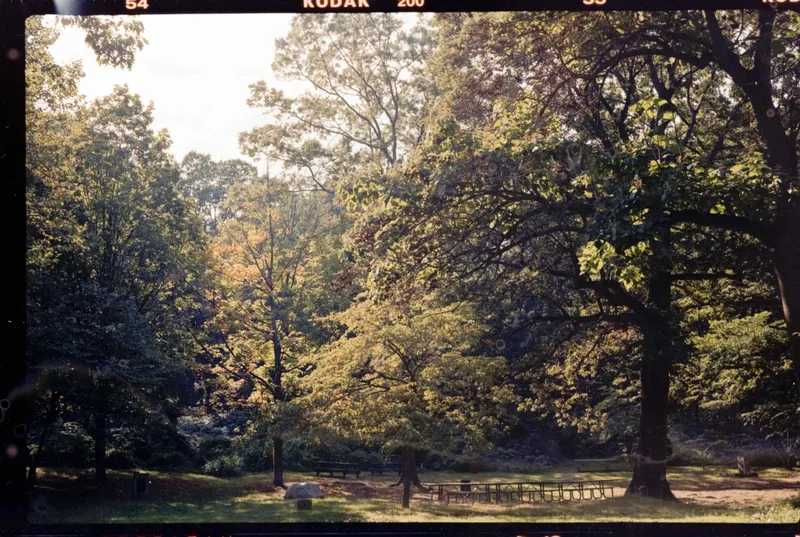 Film photo shot on Kodak Gold 200 with a Fujica G690 BLP, developed at Home / Self-Developed, by Pseudocolor