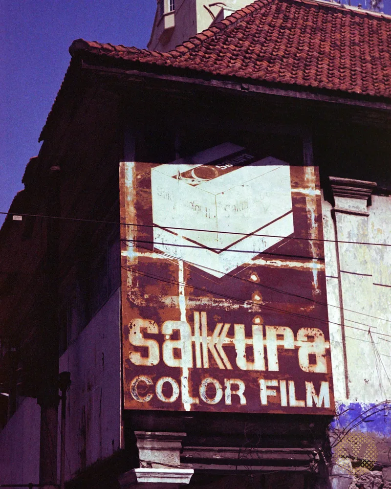 Sakura Color Film shot on @explorefilm.id Himalaya with a Minolta XD, by Verlichtend