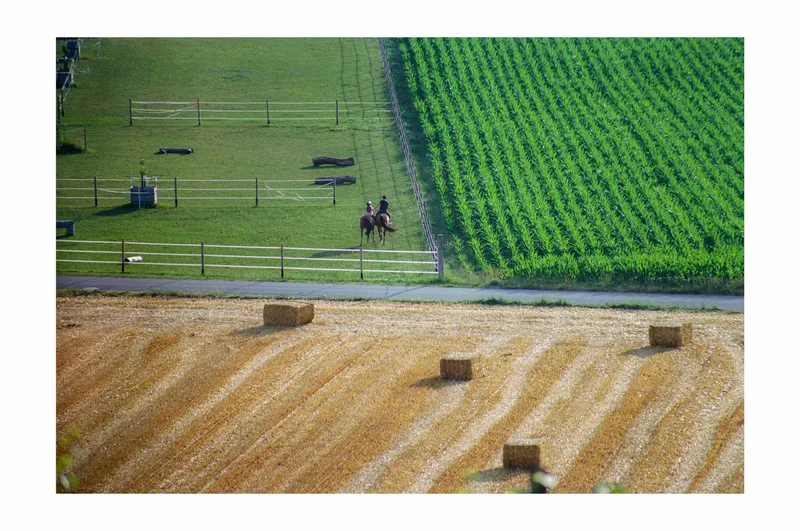 equestrian shot on Kodak Portra 400 with a Minolta SR-T 303, developed at Fotoservice Rüedi, by Aderin