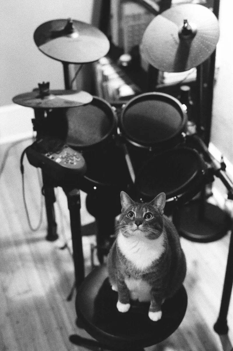 Syd shot on Ilford Kentmere Pan 400 with a Contax RTS, by Robert Sagers
