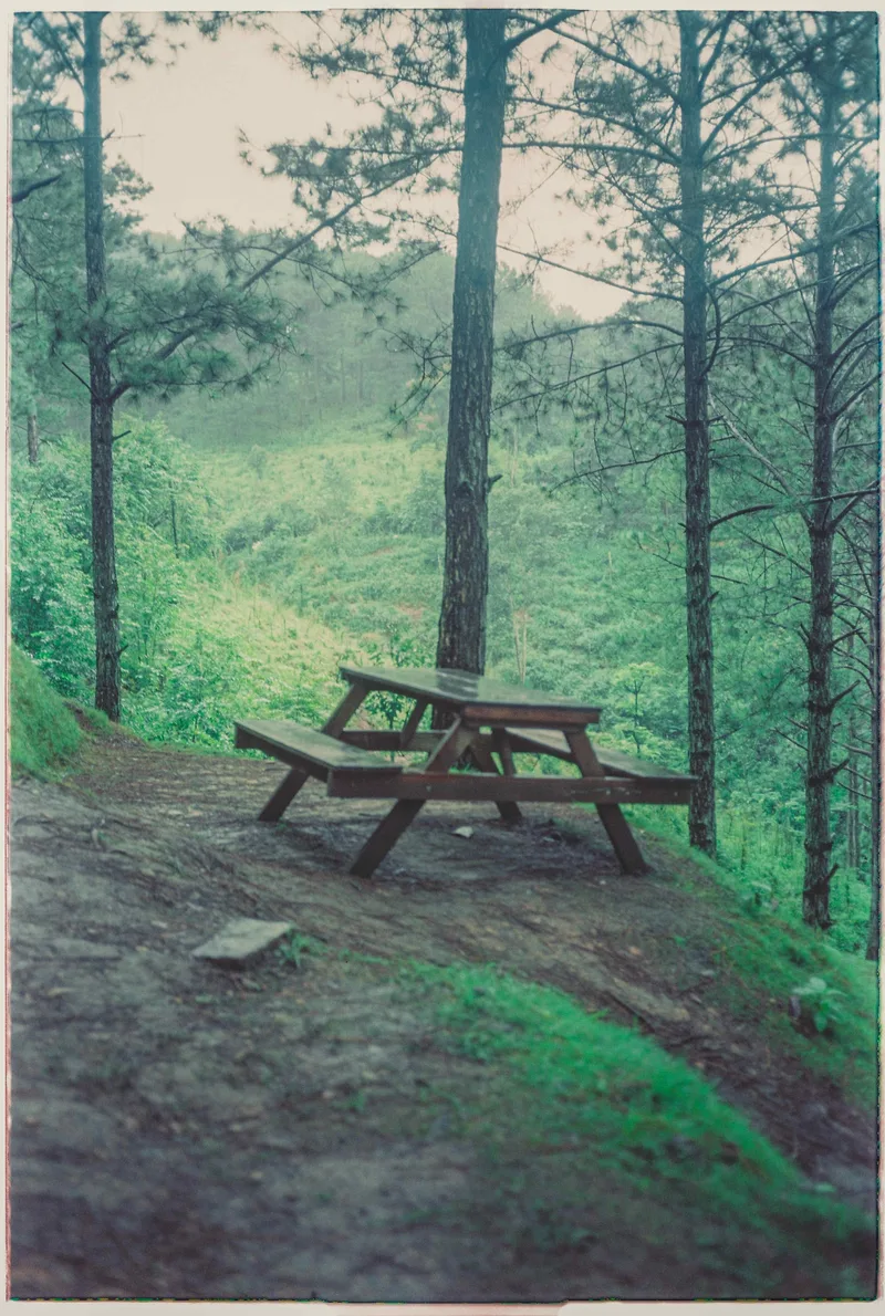 Film photo shot on Fujifilm Eterna Vivid 160T with a Yashica 35-ME, developed at CropLab