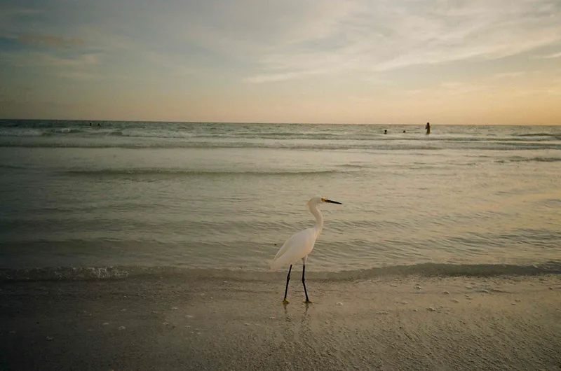 Film photo shot on Kodak ColorPlus 200 with a Kodak SnapicA1, by Josh