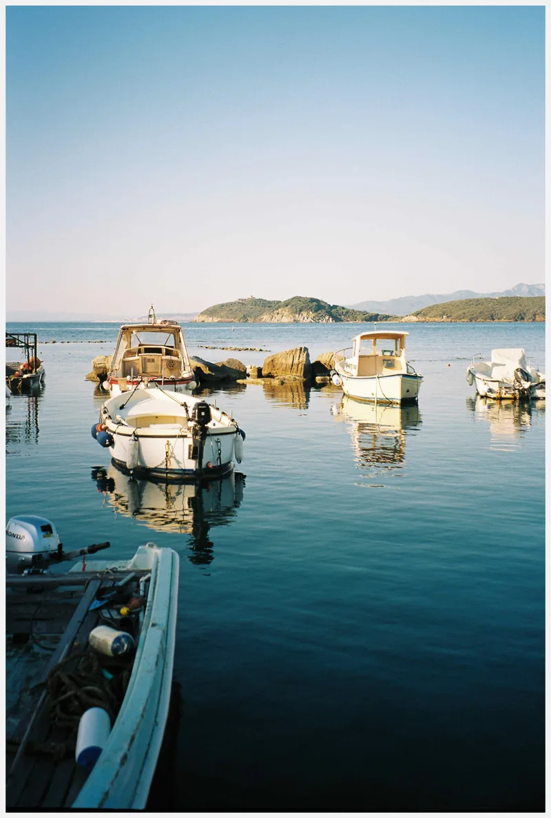 My little corner of paradise shot on Kodak Ektar 100, developed at Sviluppo Rullino, by Thomas Bassetti