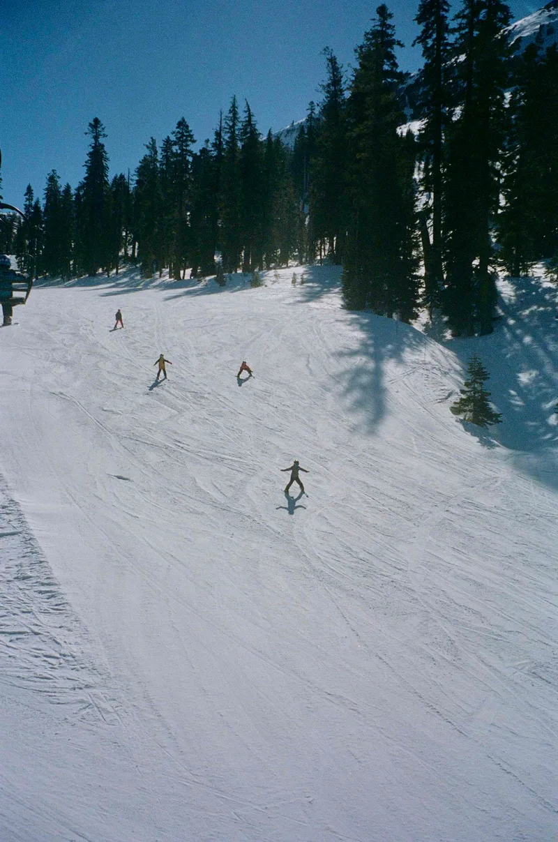 tahoe 3/26 shot on Kodak Portra 400 with a Olympus StylusZoom70, developed at Photoworks SF, by jaemz