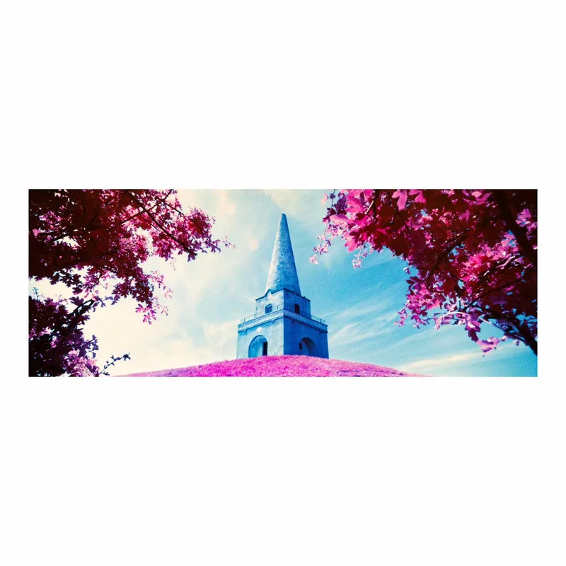 Film photo shot on Kodak Aerochrome III with a Hasselblad Xpan II, developed at Home / Self-Developed, by Alex