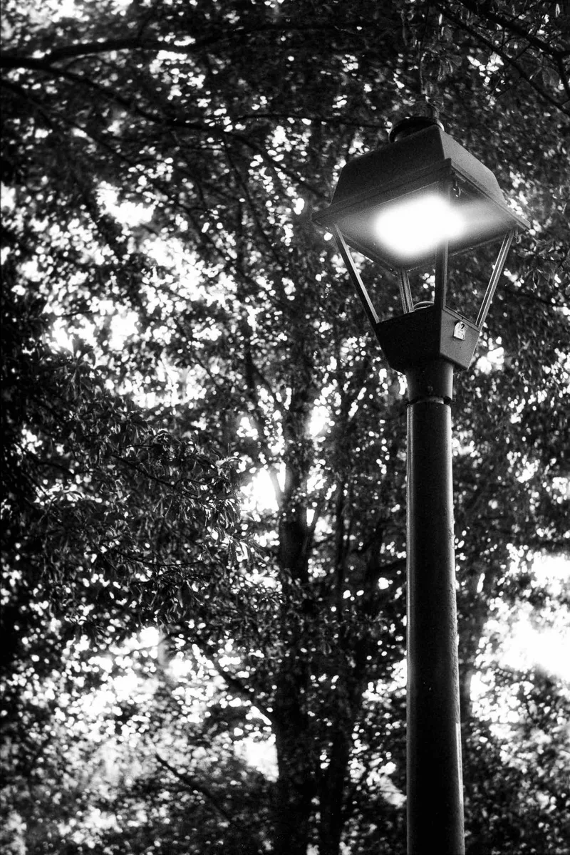 Streetlight Shining Bright shot on Foma Fomapan 100 Classic with a Nikon SP, developed at Home / Self-Developed, by Richard Vialet, ASC