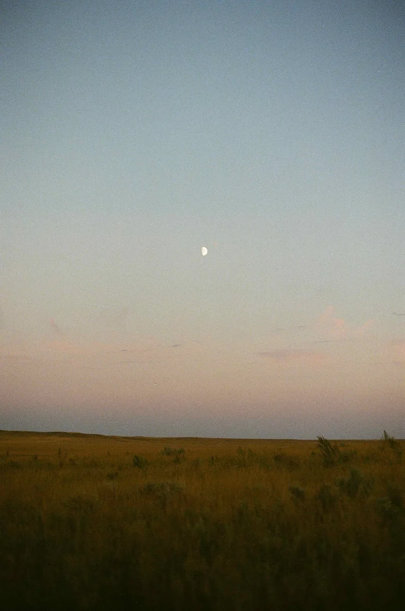 Grasslands shot on Kodak UltraMax 400 with a Canon AE-1, developed at Studio Argentique, by Roseline