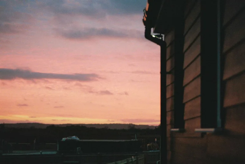 Film photo shot on Kodak Portra 800 with a Pentax MZ50, developed at Analogue Wonderland, by alanna