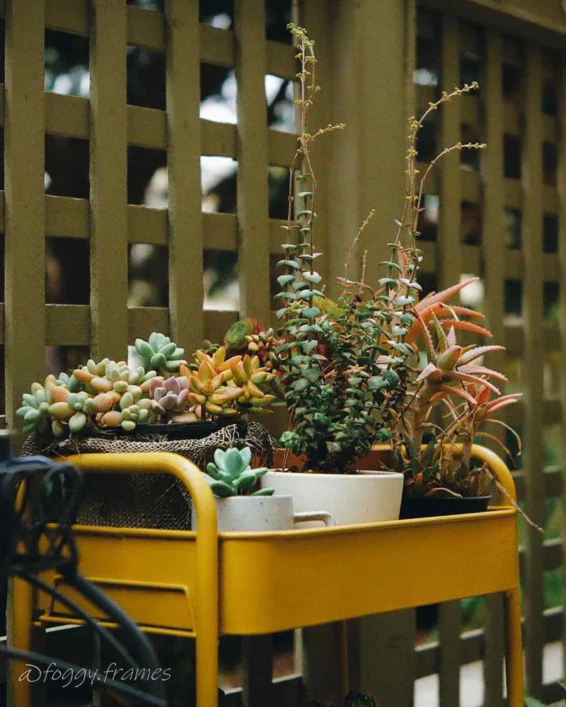 We all live in a yellow succmarine shot on Fujifilm Superia Premium 400 with a Ricoh KR-5 Super, developed at The DarkRoom, by Nick