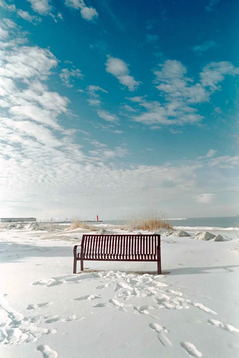 The meeting spot shot on Kodak Vision 3 250D with a Nikon F2, developed at Home / Self-Developed, by Scott Zempel